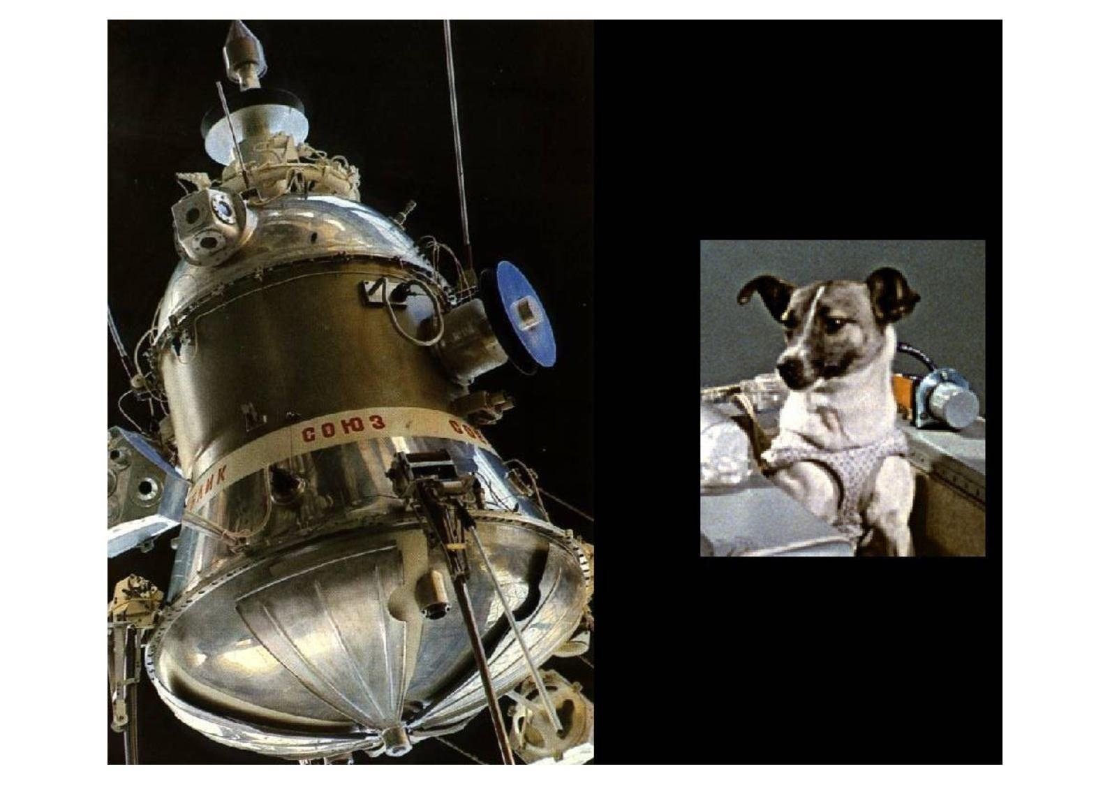 Спутник 5 собаки. Спутник-5 космический аппарат белка и стрелка. Спутник 2 лайка. Второй Спутник земли СССР лайка. Космический корабль белки и стрелки.