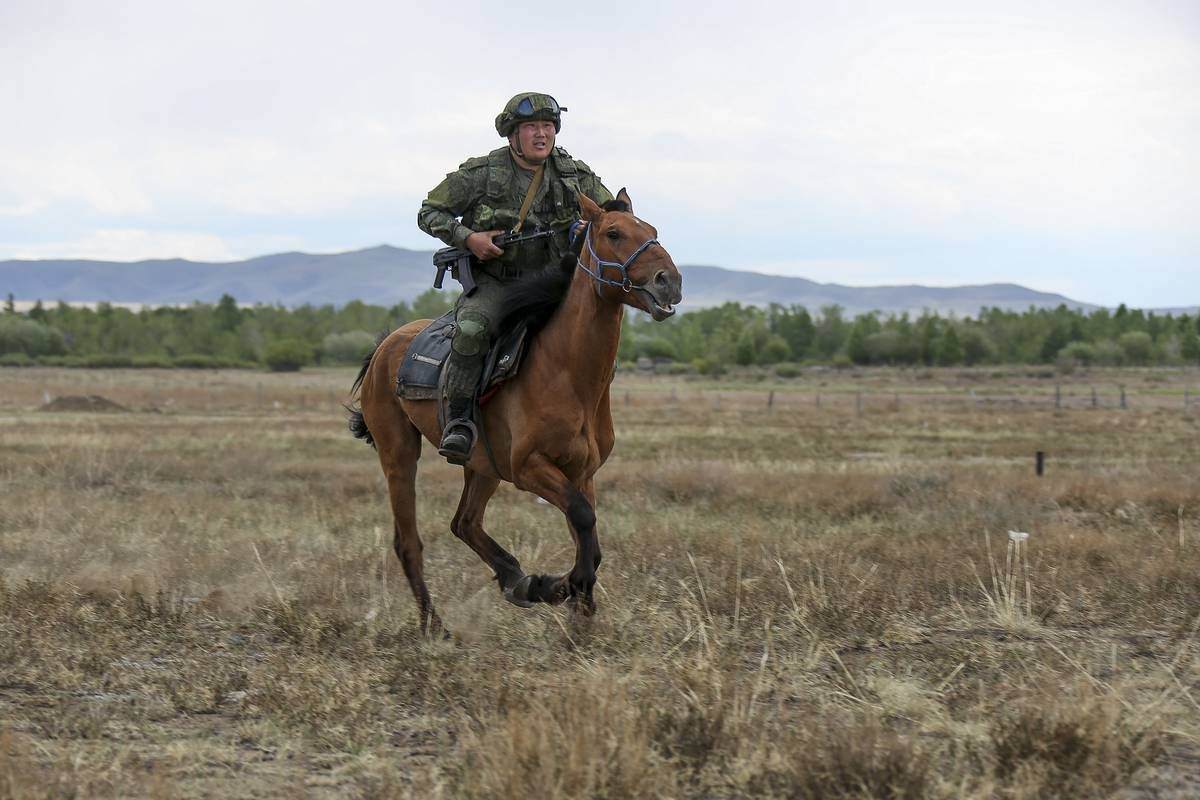 Военные лошади фото