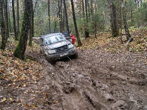 Кабанам тропу топчу