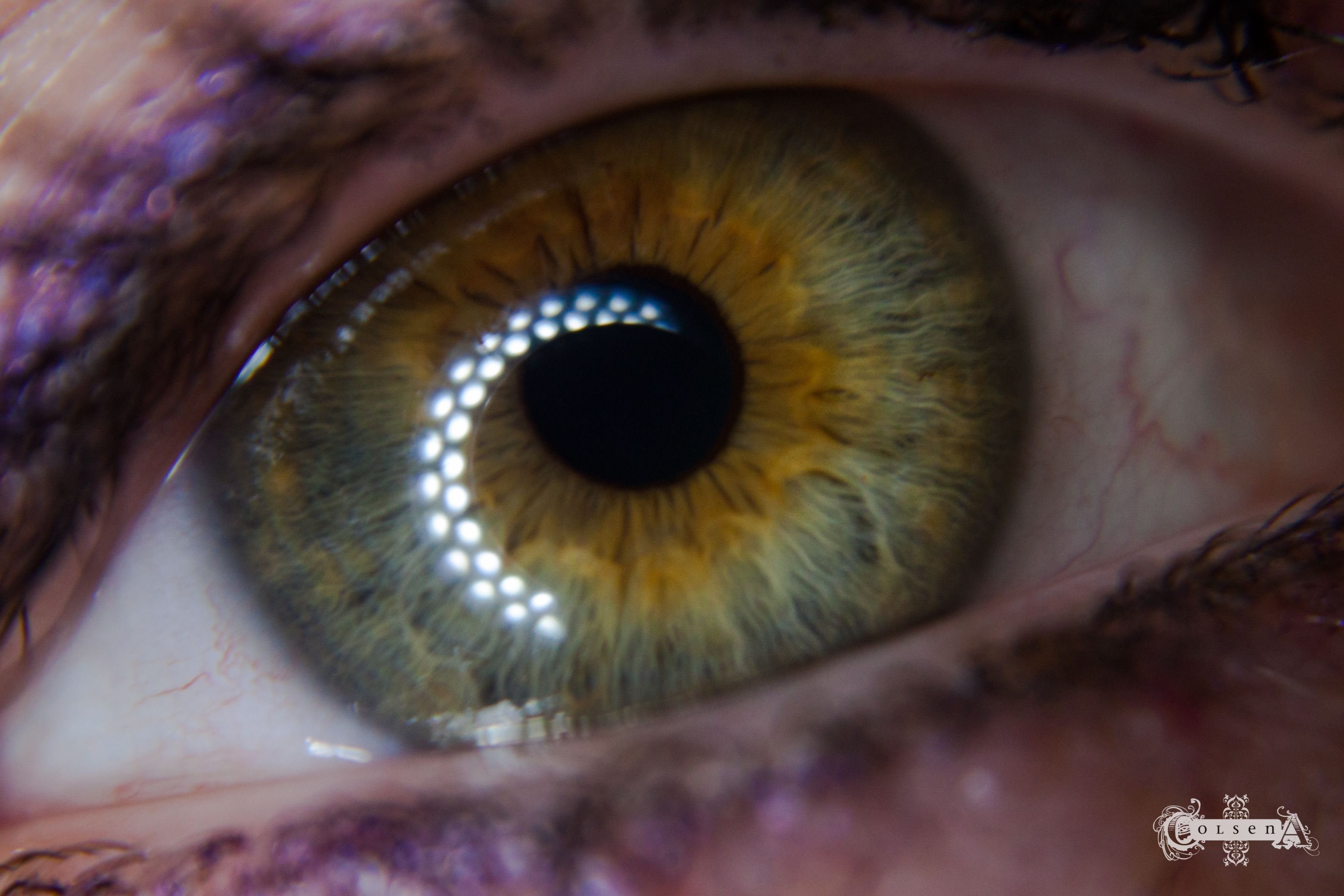 Глаза хамелеоны у человека. Центральная гетерохромия хамелеон. Цвет глаз хамелеон гетерохромия. Центральная гетерохромия зеленый Карий. Гетерохромия у хамелеона.
