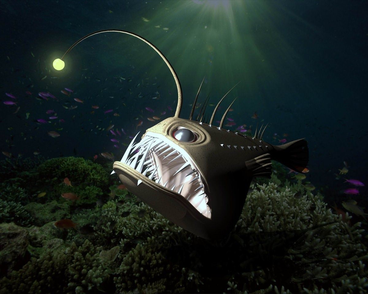 Рыба с фонариком на голове название и фото