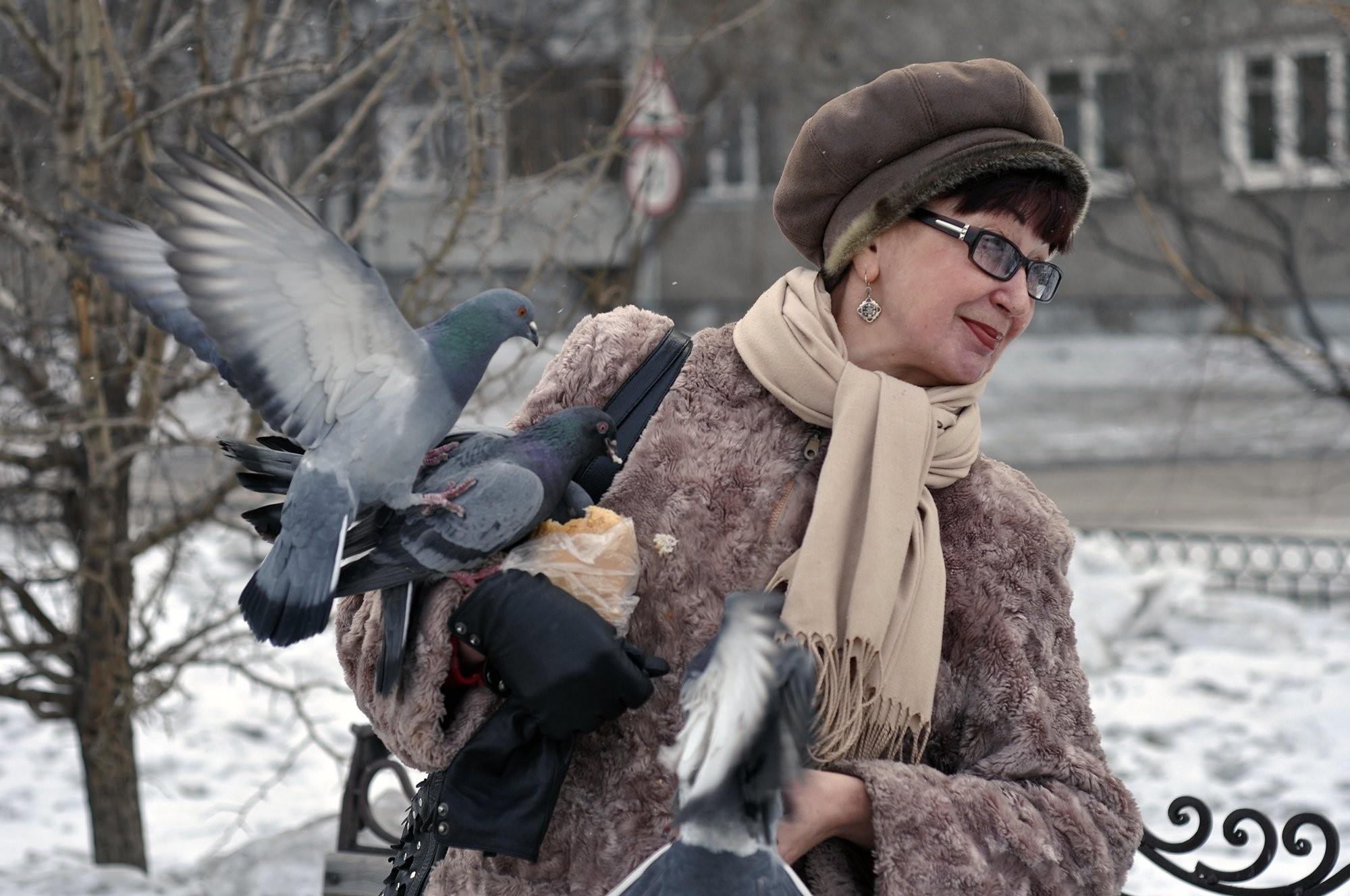 Фото голуби любовь