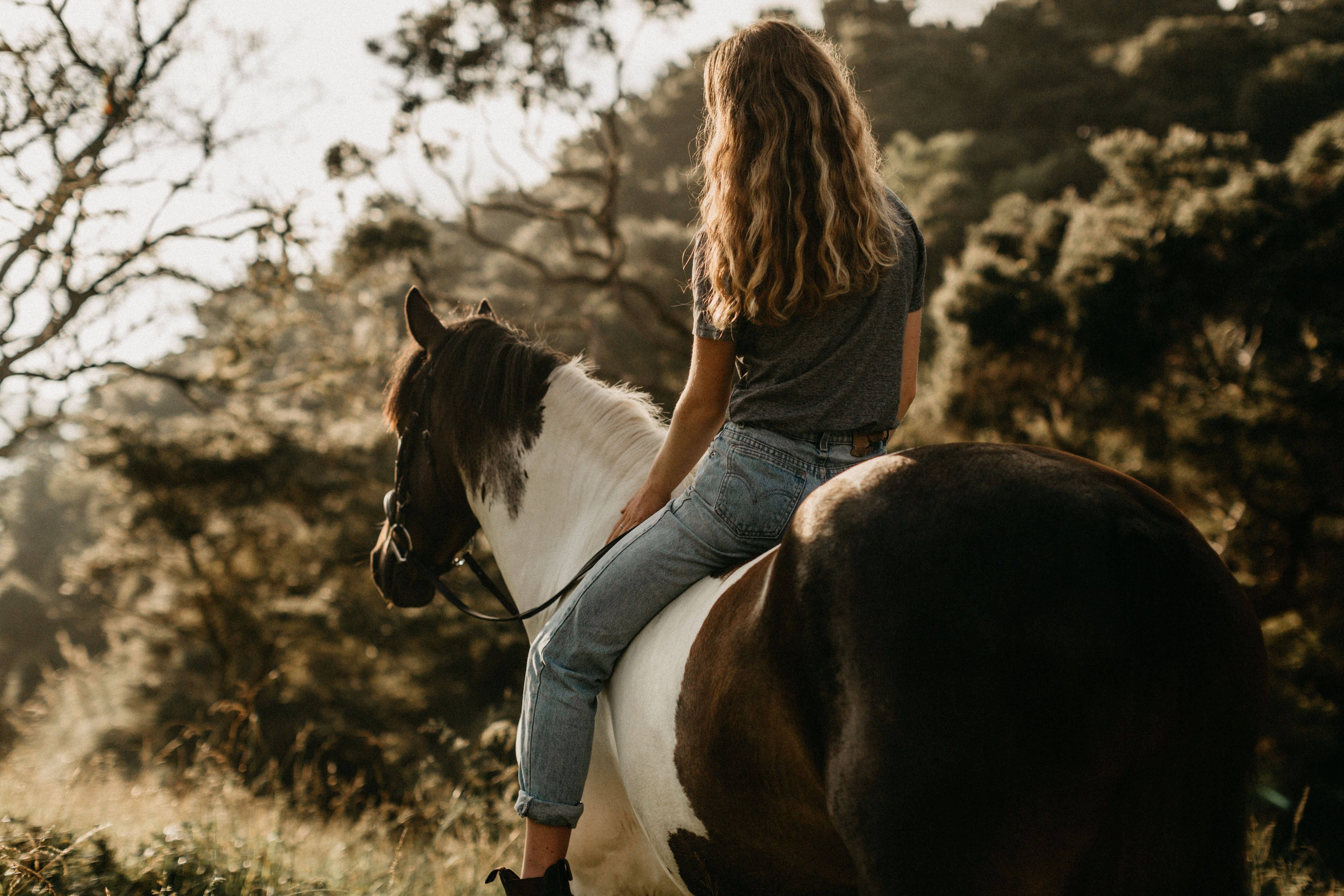 Девушка с лошадью фото на аву