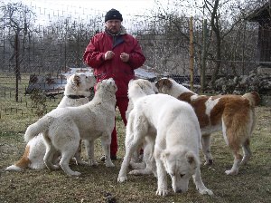 Алабай Джафар