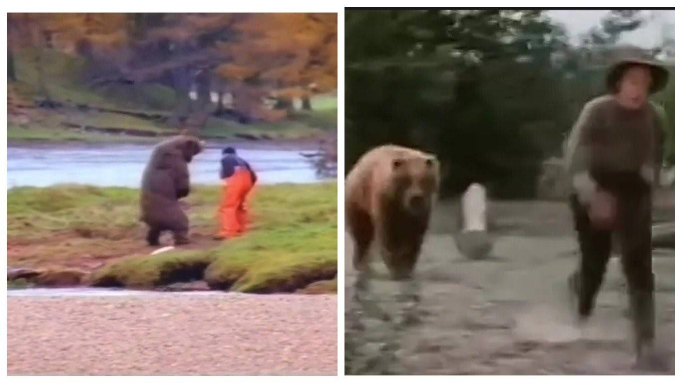 Спас от нападения. Медведь Гризли нападение. Медведь Гризли нападение на человека. Медведь Гризли нападает на человека. Медведь Гризли напал на человека.