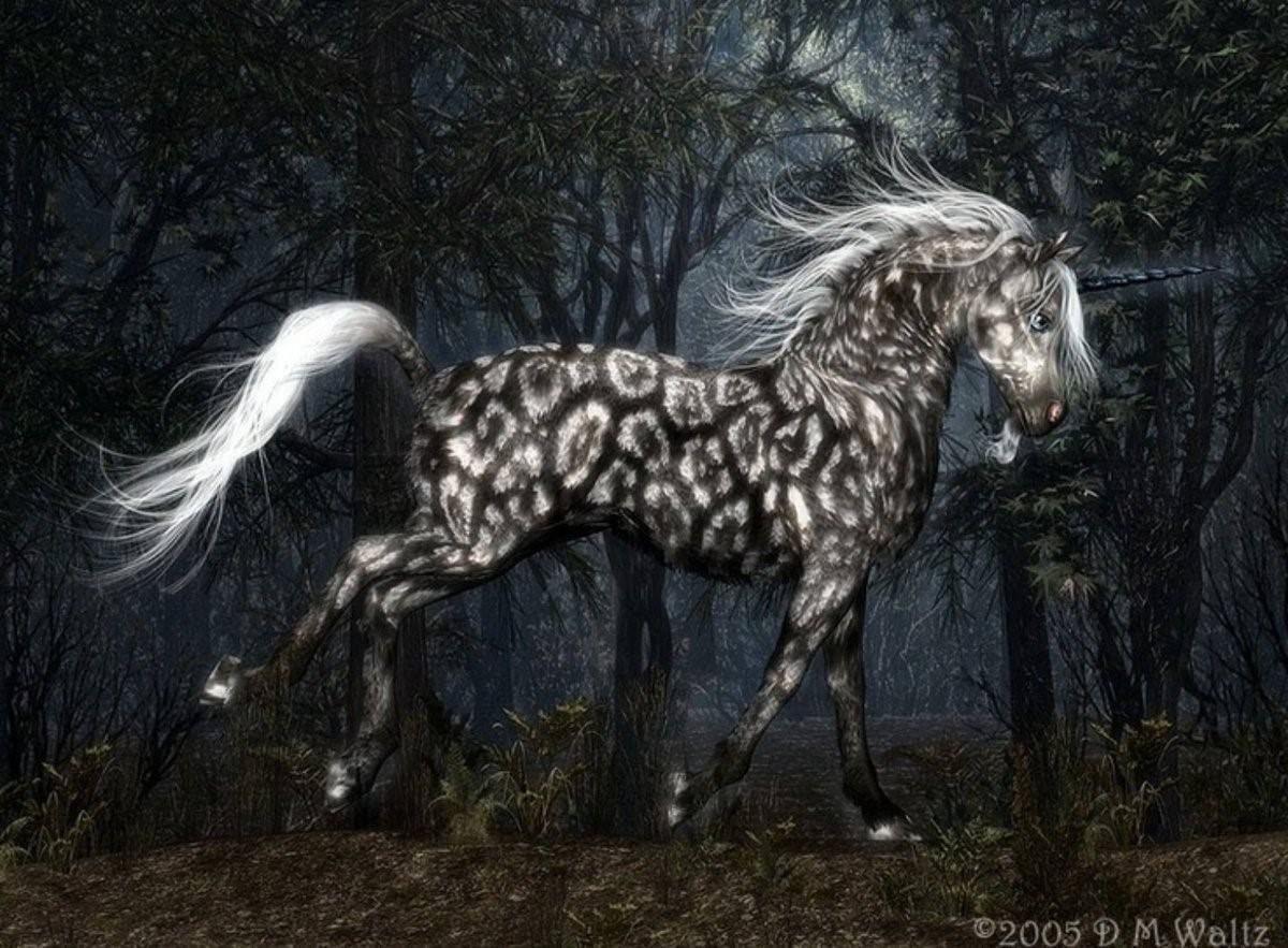 Серо черная лошадь. Черные Единороги и пегасы. Белая лошадь с черной гривой. Мифические лошади. Красивые Единороги.