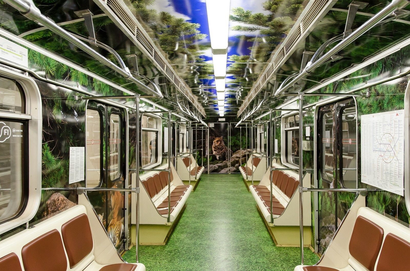 Поезда метрополитена москвы фото с названиями