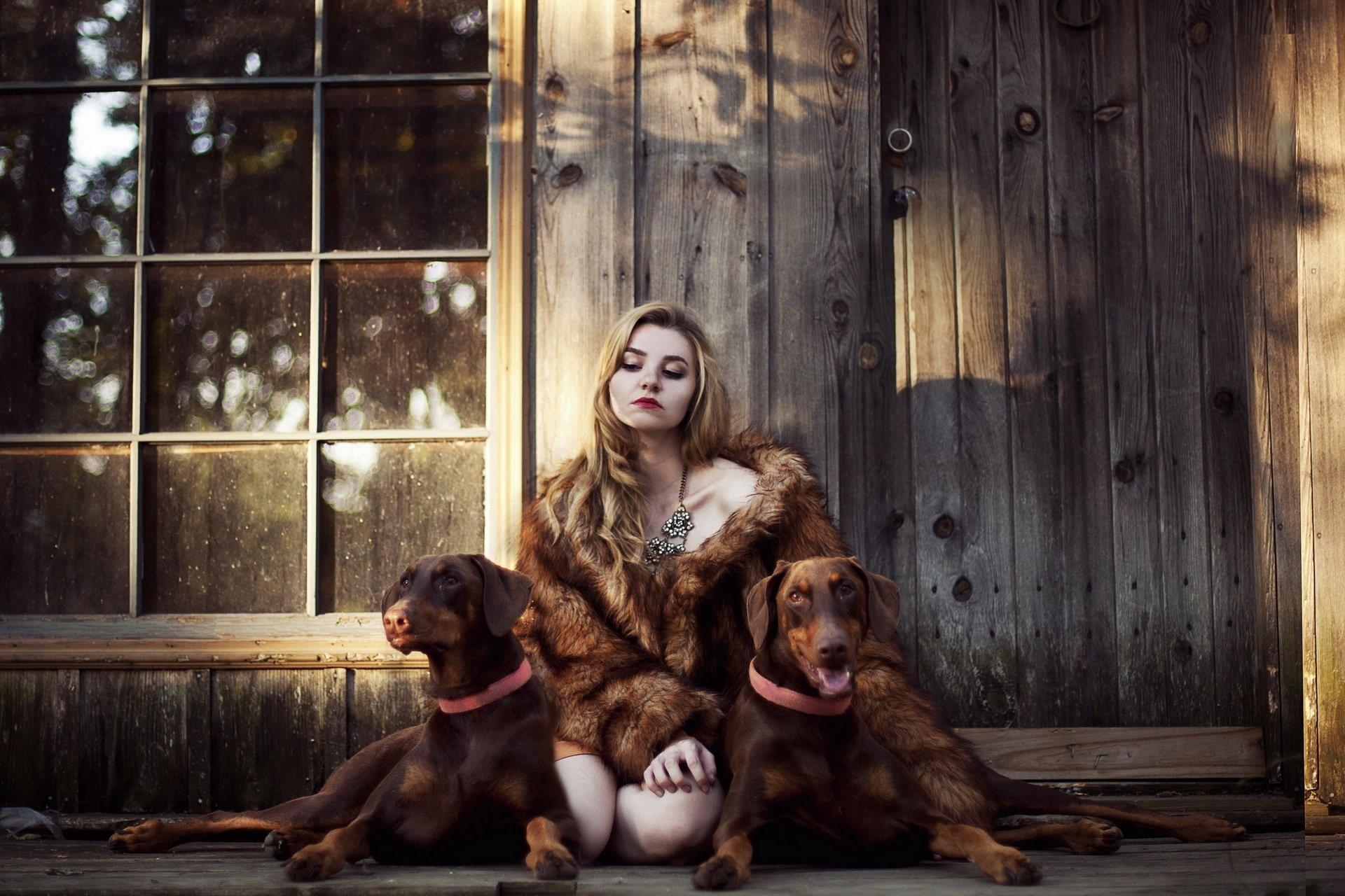 Девочка живет с собаками. Фотосет с собакой. Профессиональная фотосессия с собакой. Девушка с собакой. Красивые фотосессии собак.