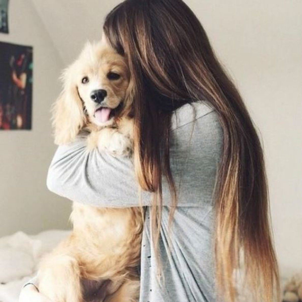 Фото с собакой со спины