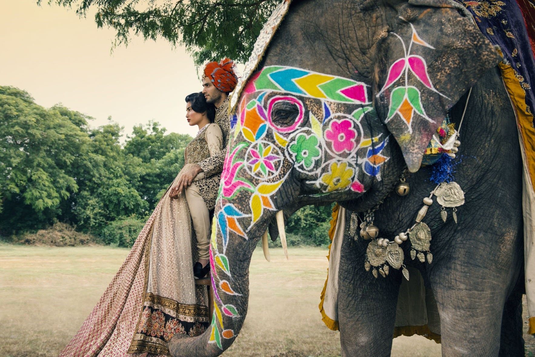Индийский слон. Индийские слоны. Красивые индийские слоны. Индийский слон украшенный.