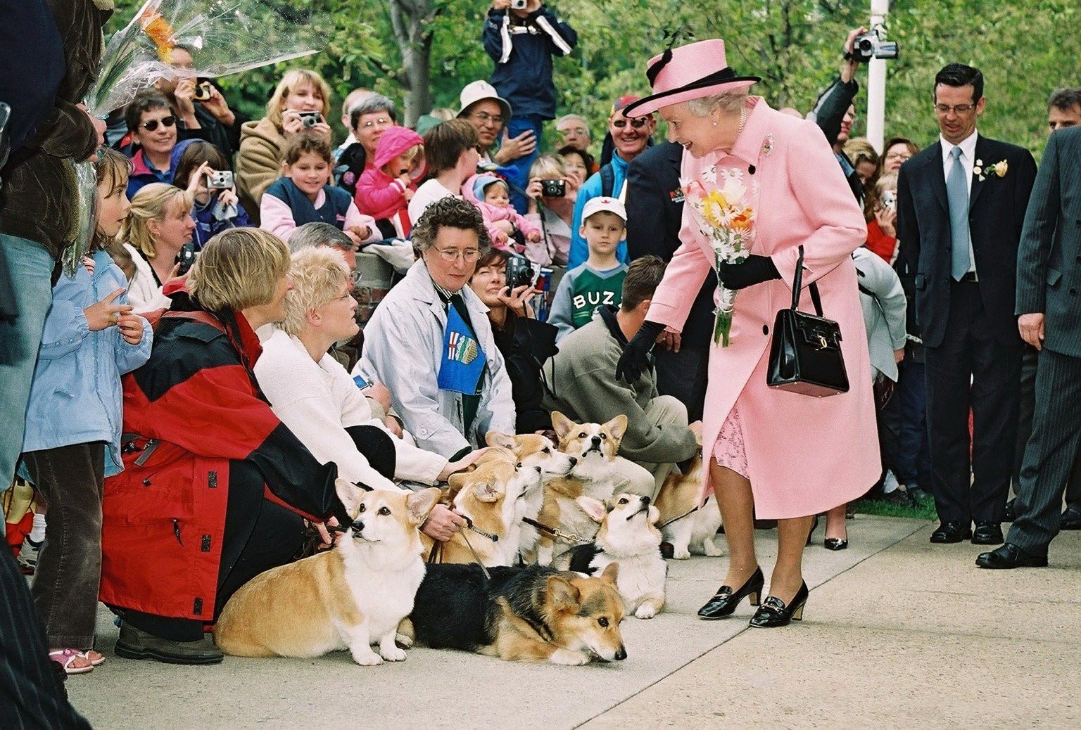 Корги и елизавета фото королева