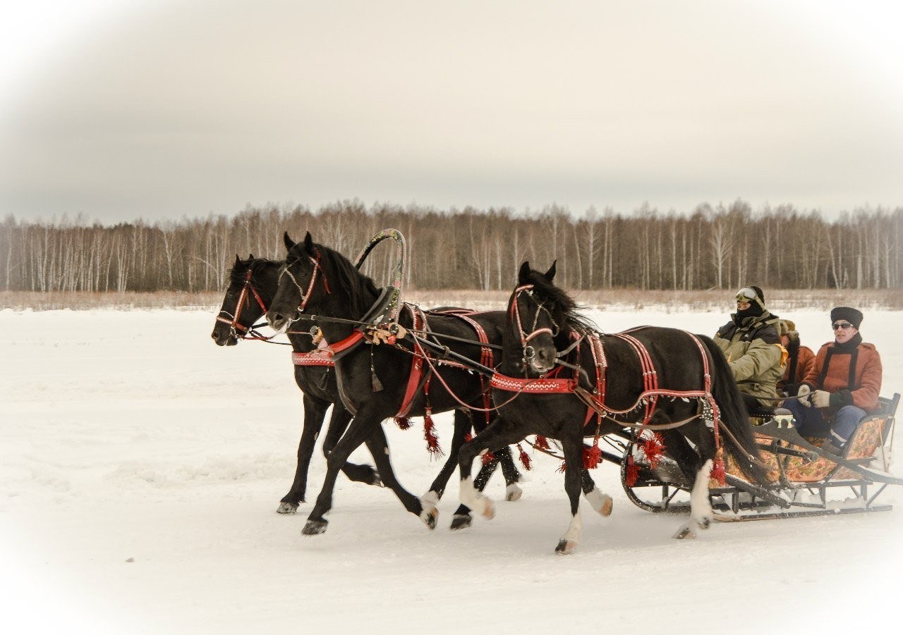 Русская тройка фото