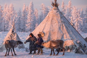 Праздник оленя у чукчей