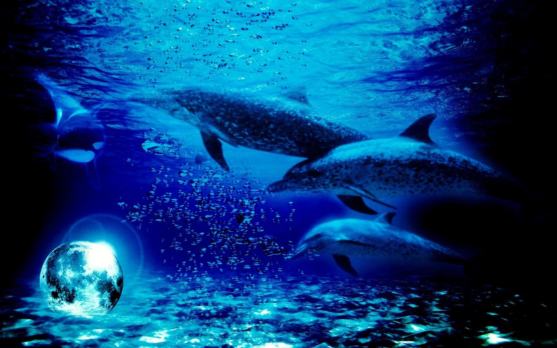 Дельфины в море на глубине