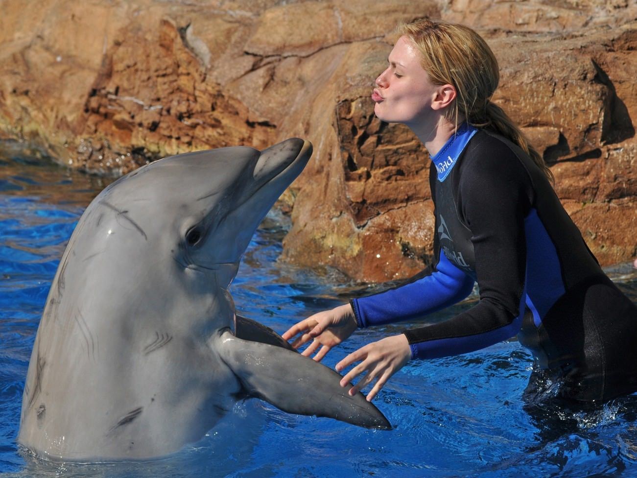 Дельфины с удовольствием разучивают и выполняют разные. Дельфины спасают людей. Дельфины и люди. Человек Дельфин. Дельфин спасает человека.