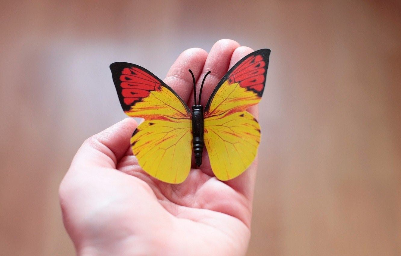 Бабочка На Руке