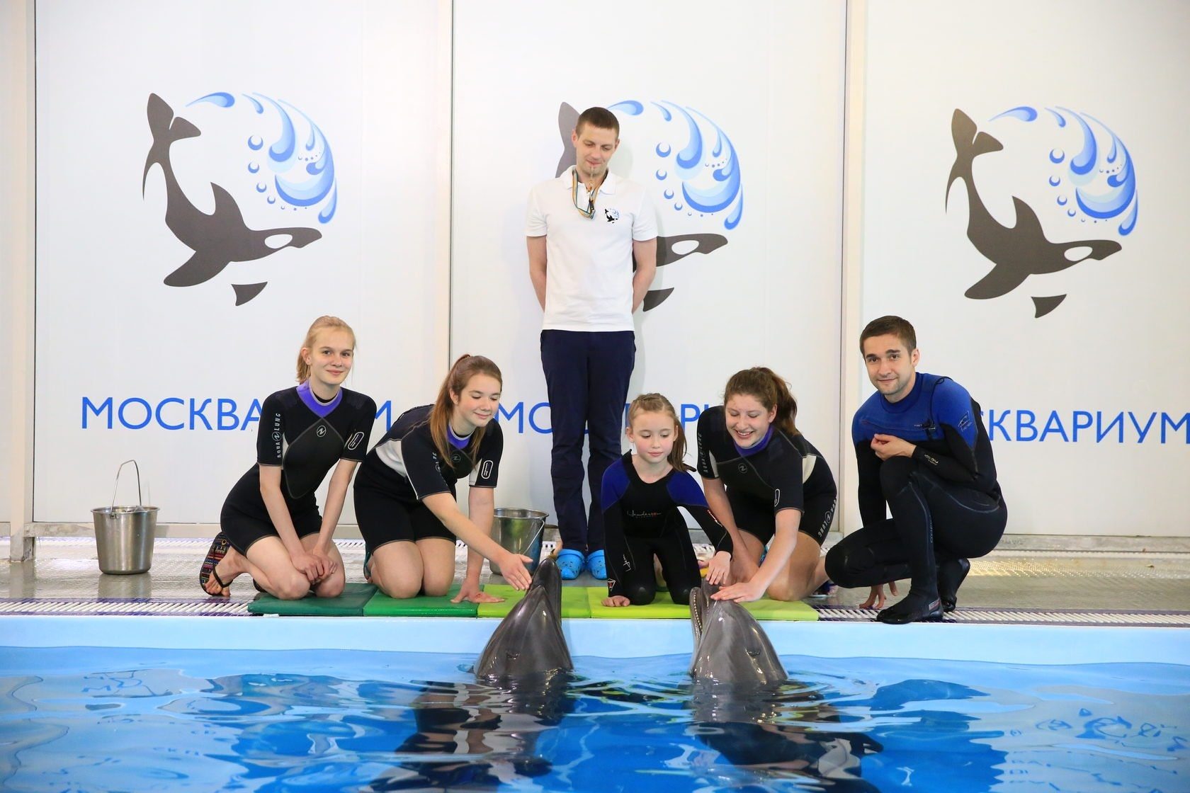 Москвариум поплавать. Москвариум центр плавания с дельфинами. Москвариум бассейн с дельфинами. Москвариум на ВДНХ дельфинотерапия. Дельфинотерапия ВДНХ.