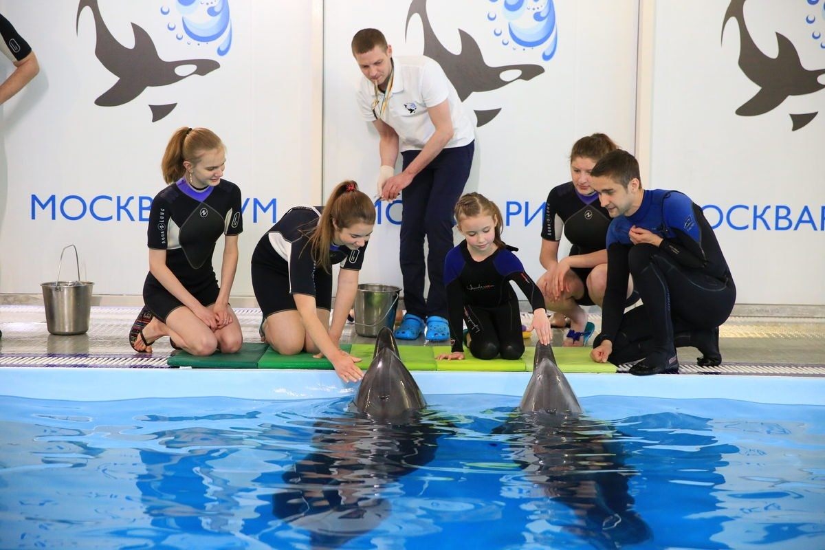 Москвариум поплавать. Школа юного тренера Москвариум. Москвариум центр плавания с дельфинами. Москвариум на ВДНХ плавание с дельфинами. ВДНХ центр плавания с дельфинами.