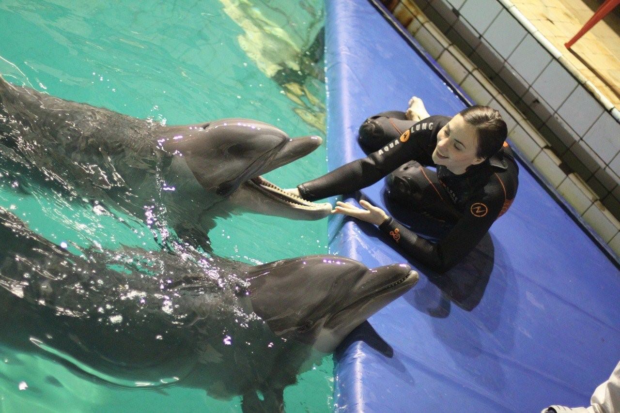 Удовольствие с дельфином