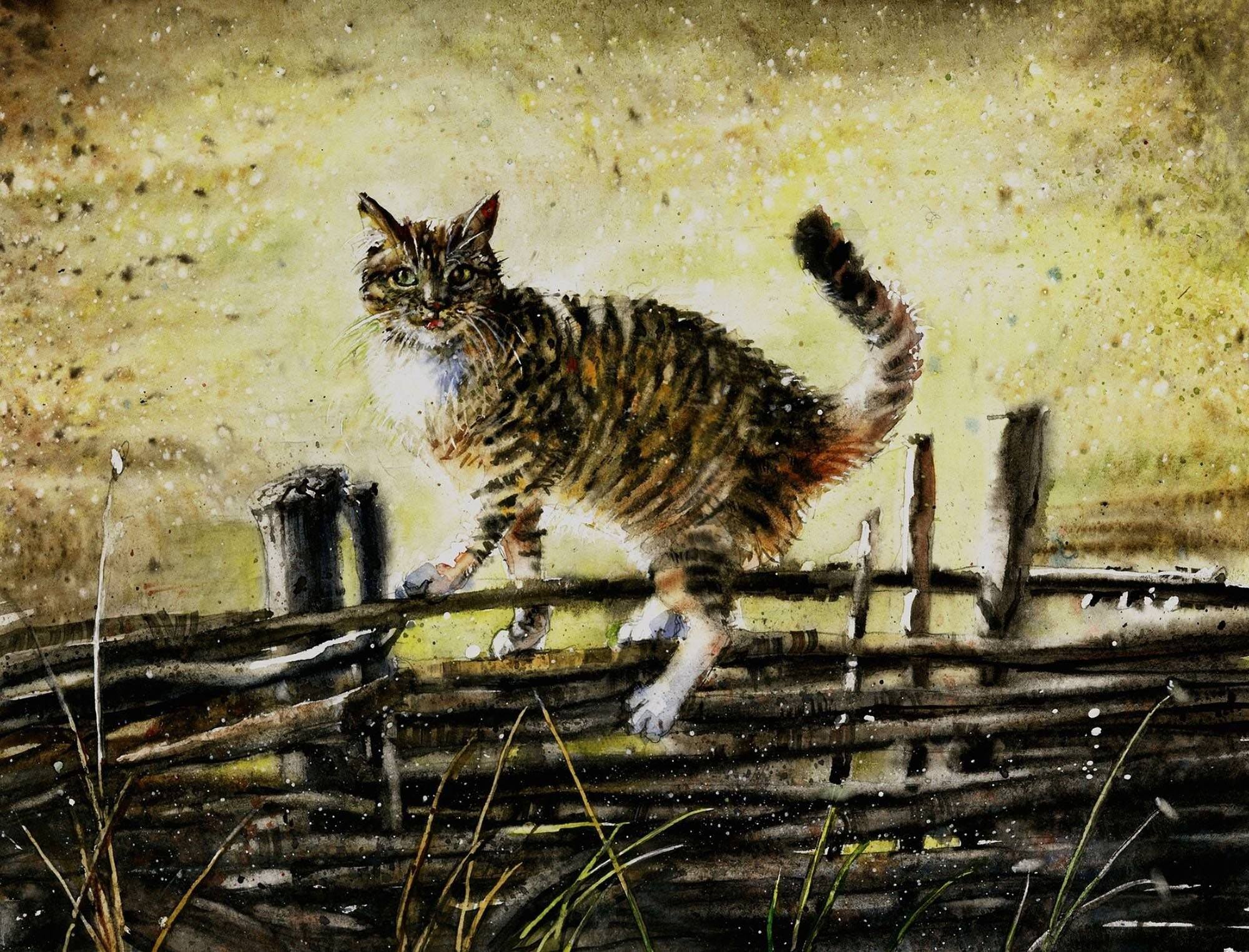 картинки нарисованные котики в деревне