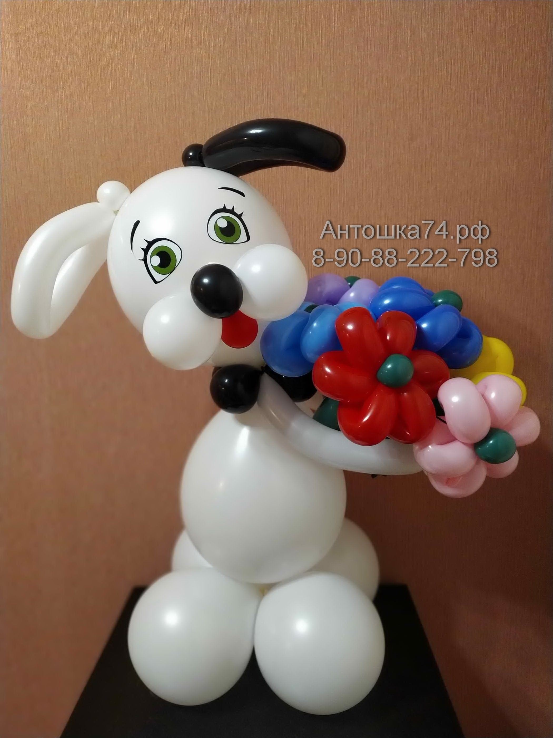 Собачка из шарика. Собачка из шаров. Собака из шариков. Фигурки из шаров собака. Фигуры из воздушных шаров собака.