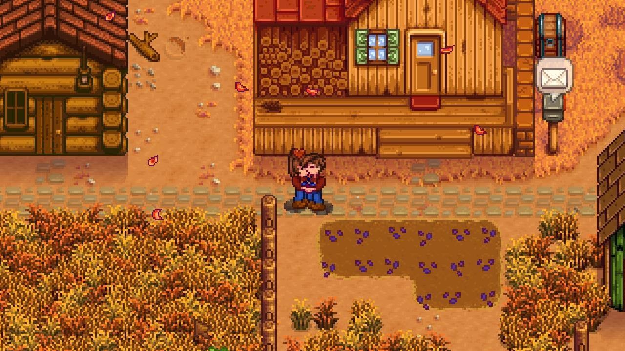 Стардью валли ночной рынок. Стардью Нексус. Сундук с сокровищами Stardew Valley. Король прерий Stardew Valley. Жёлтый Судак Stardew Valley.