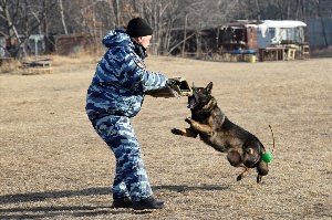 Кинолог с собакой