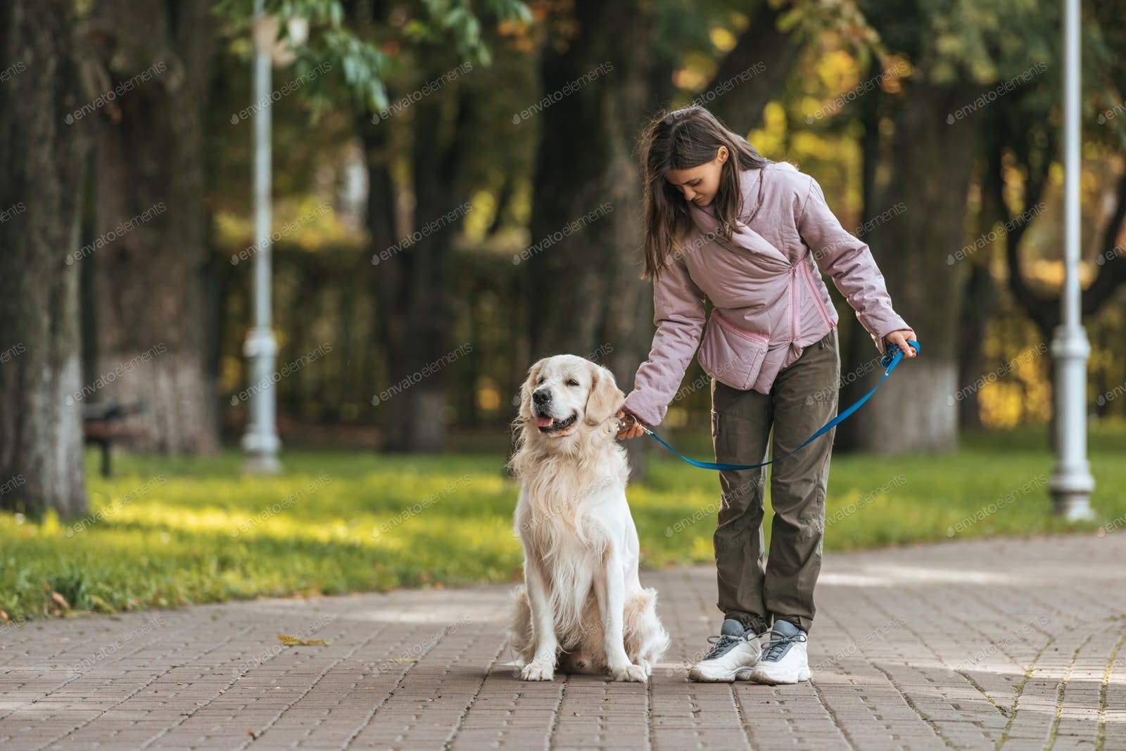 Можно гулять с собакой в парке. Щенок на прогулке. Прогулка с собакой. Прогулка с собакой в парке. Девушка гуляет с собакой в парке.