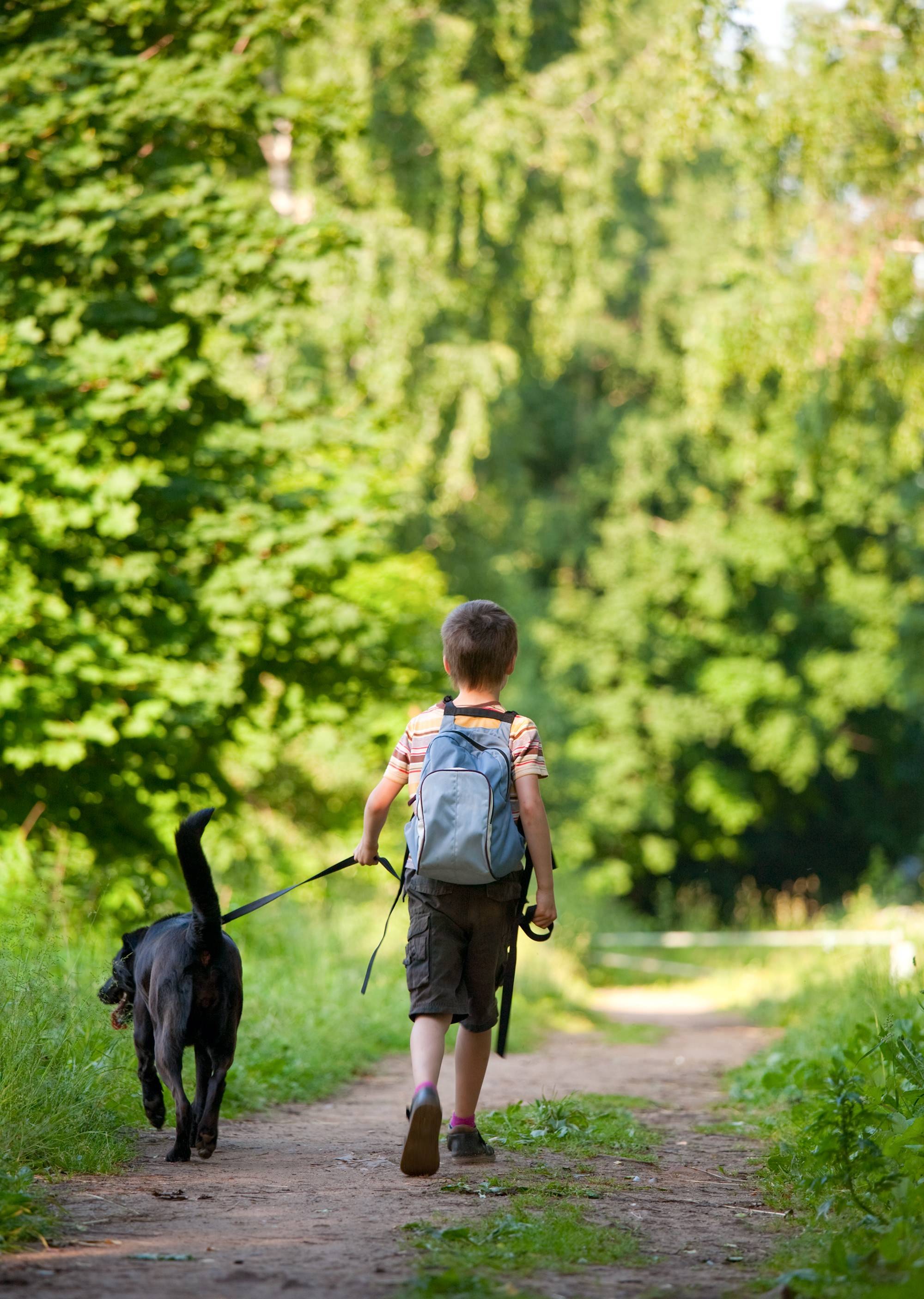 Мальчишки гуляют. Прогулка с собакой. Мальчик гуляет в парке. Прогулка с собакой в лесу. Прогулка с собакой в парке.