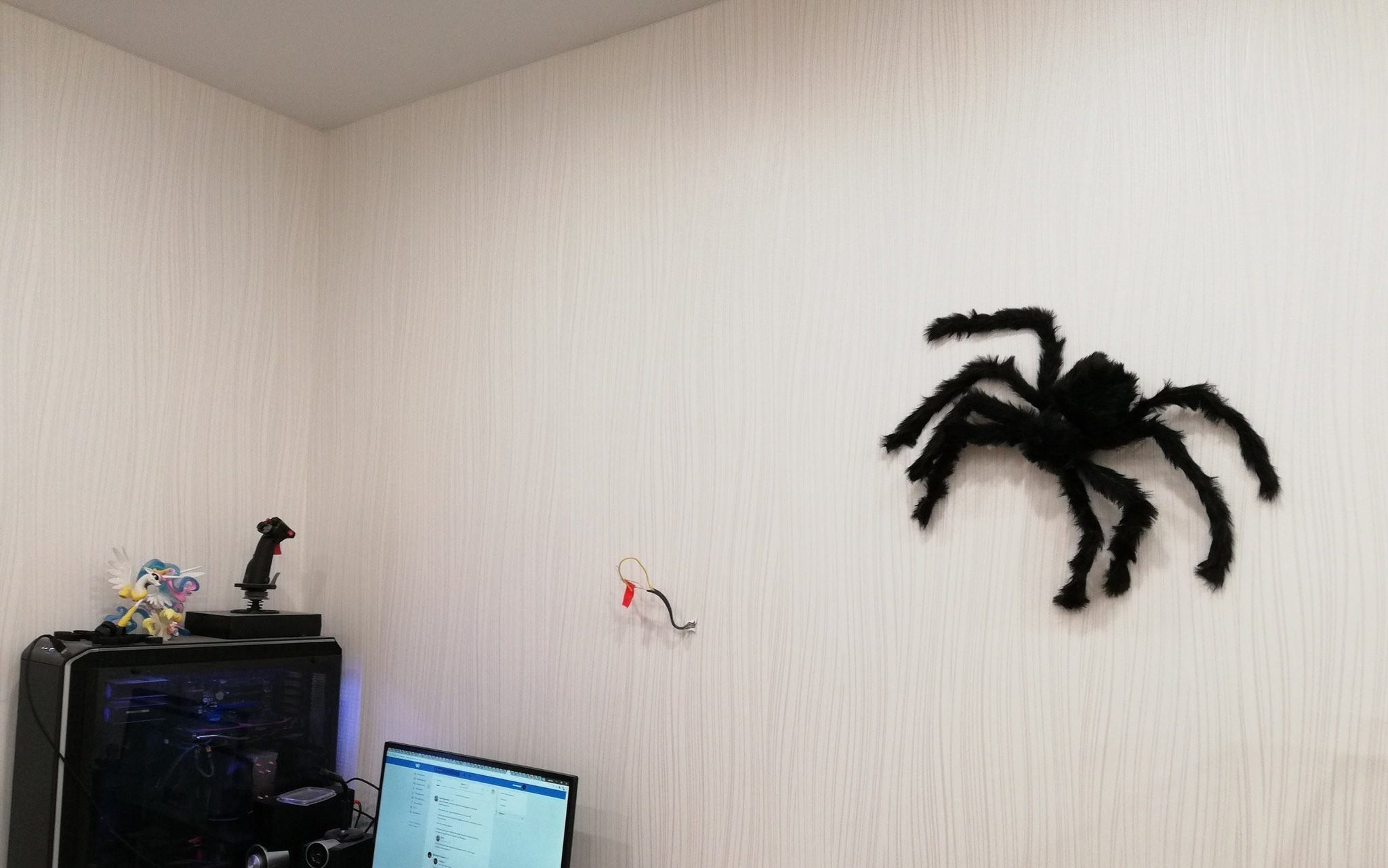 Фото огромного паука на стене