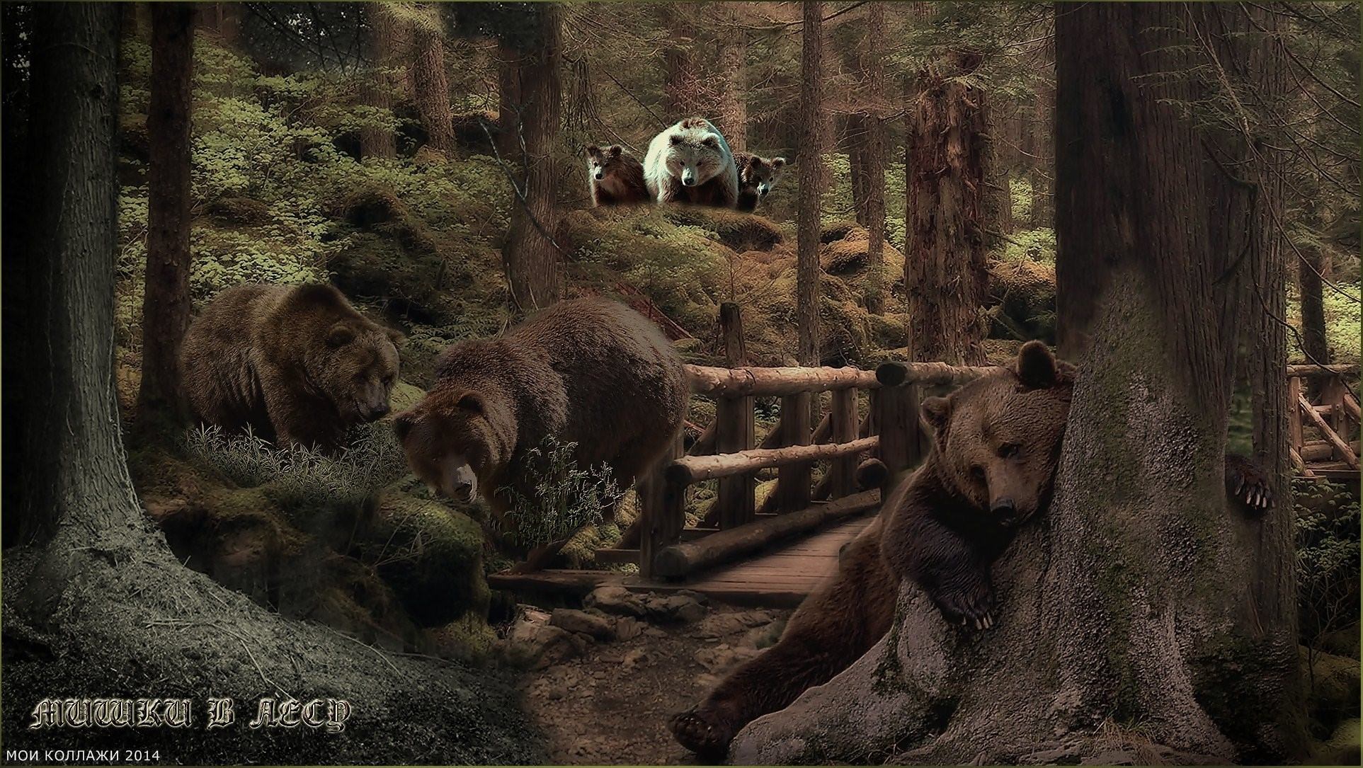 Фотографии 3 медведей. Шишкин три медведя утро в Сосновом Бору. Картина 3 медведя Шишкин. Шишкин три медведя в Сосновом Бору. Утро в Сосновом Бору Шишкин.