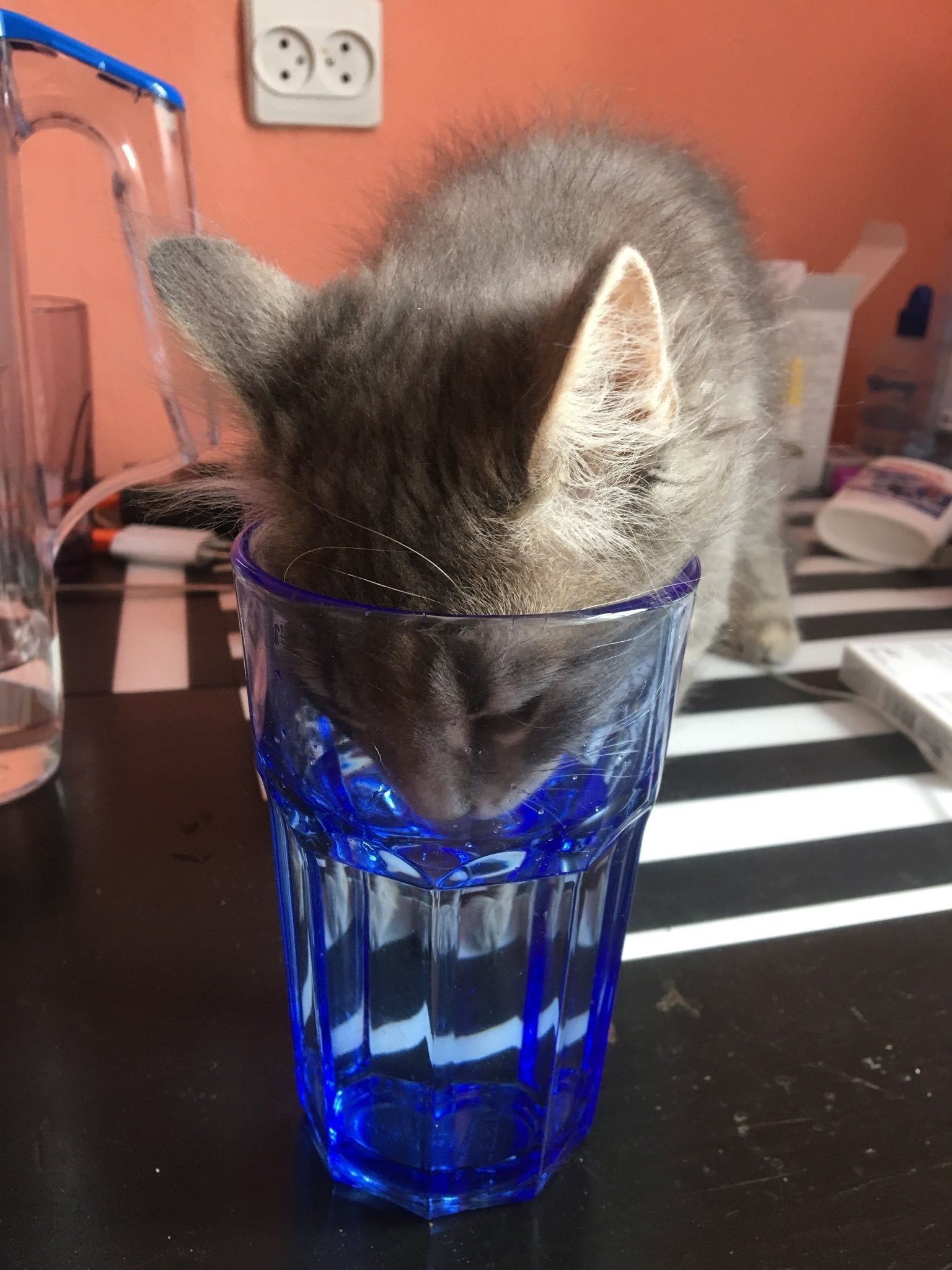 Минералочка. Кот в стаканчике. Кот пьет воду. Котик в стакане. Кот с бокалом.