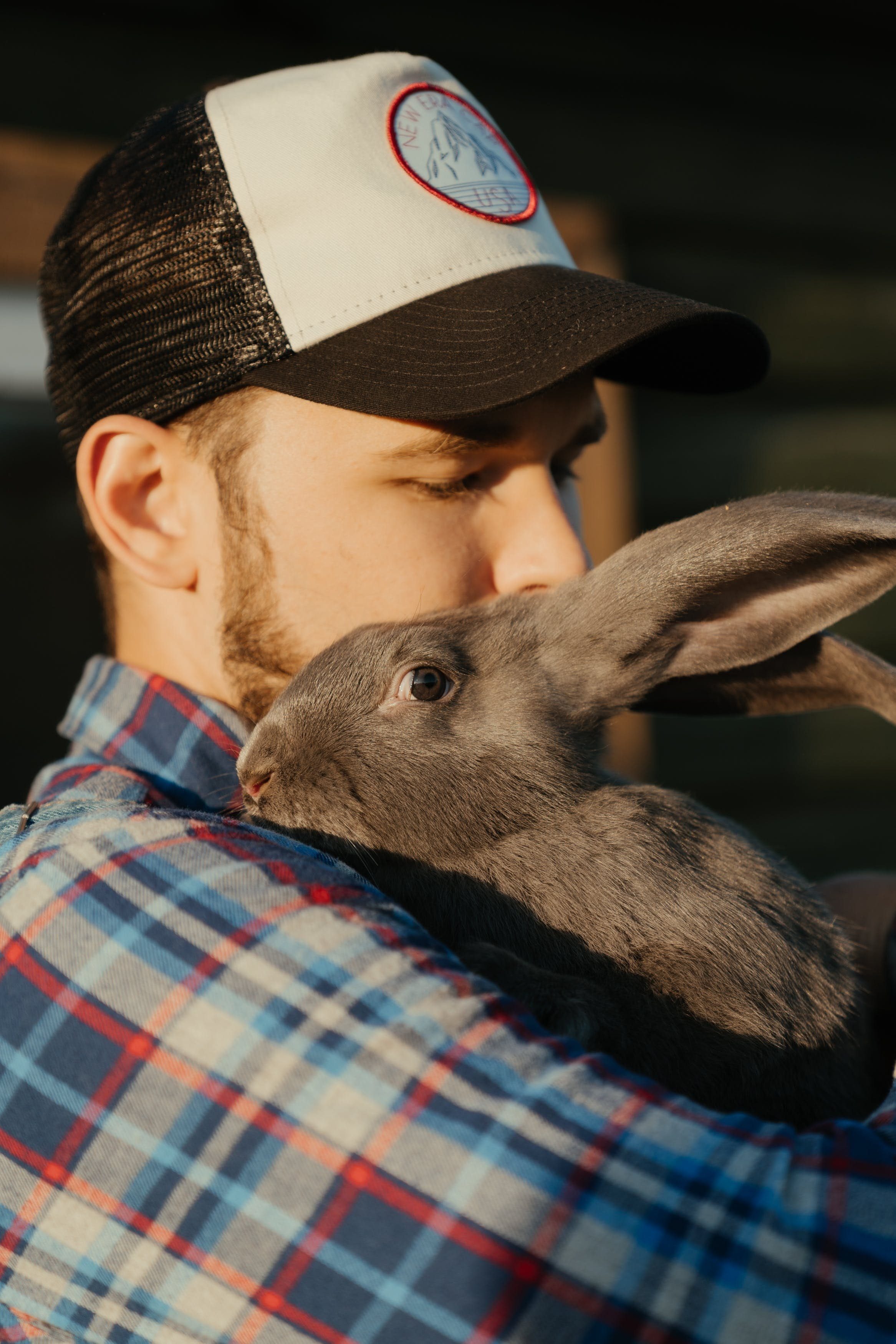 Год кролика человек. Кролик в кепке. Кроликчкловек человек кролик. Кролик с человеком фотосессия.