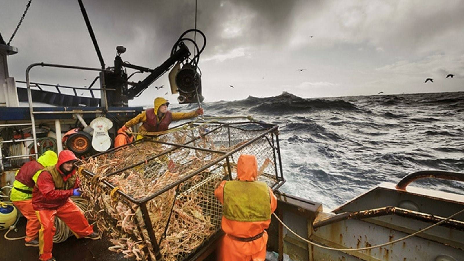 Вылов рыбы. Краболовы Охотское море. Ловля краба в Баренцевом море. Ловля крабов на Аляске. Краболов корабль.