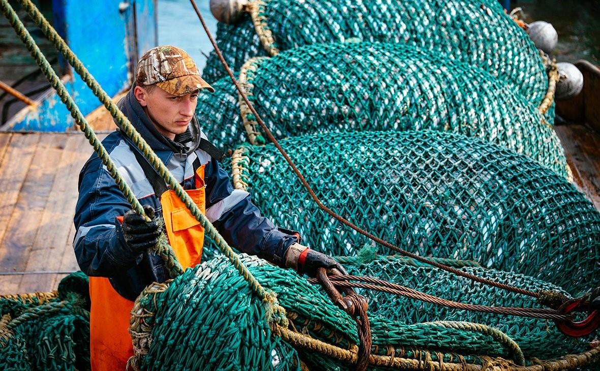 Вылов рыбы. Фото: Юрий Смитюк/ТАСС. Морской промысел. Рыбацкий промысел. Морской промысел рыбы.