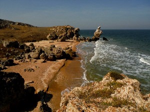 Генеральские пляжи Крым змеи