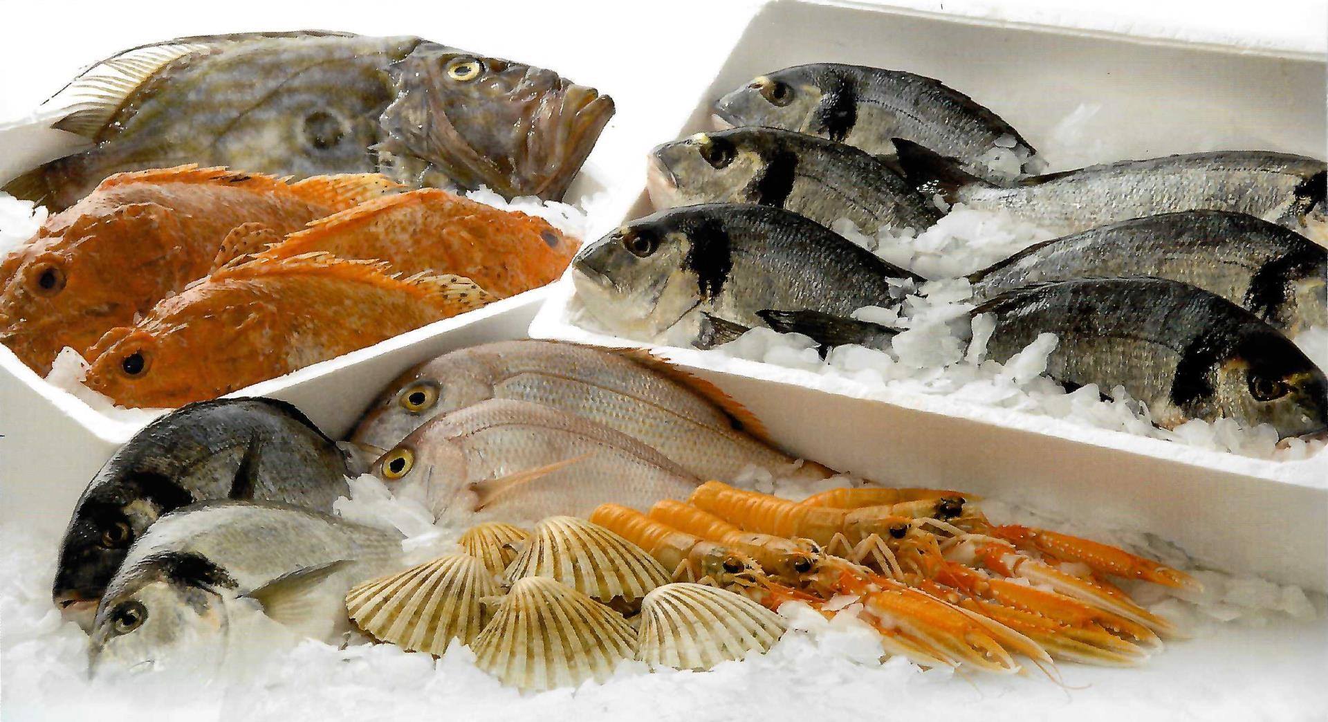 Хранение живой рыбы. Рыба и рыбопродукты. Морская рыба и морепродукты. Свежезамороженная рыба. Охлажденная рыба.