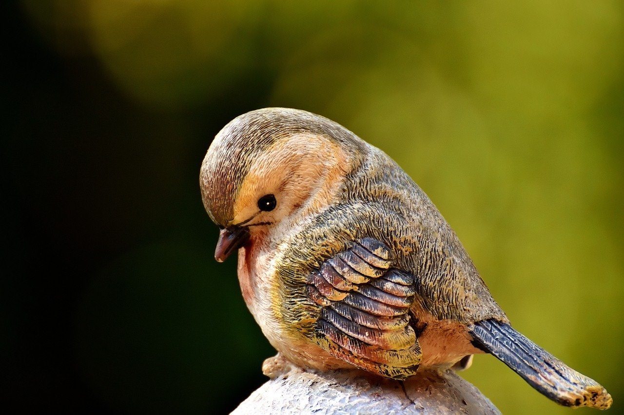 милые картинки птиц