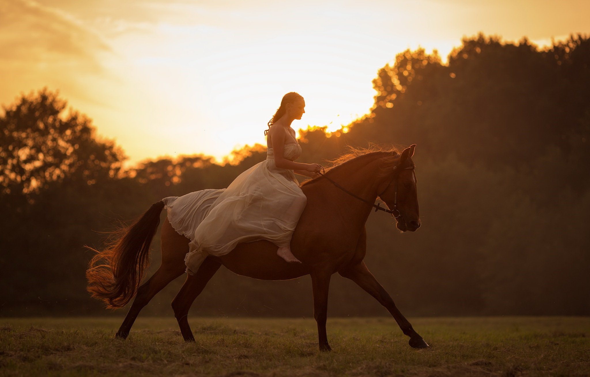 Фото на лошади верхом девушка