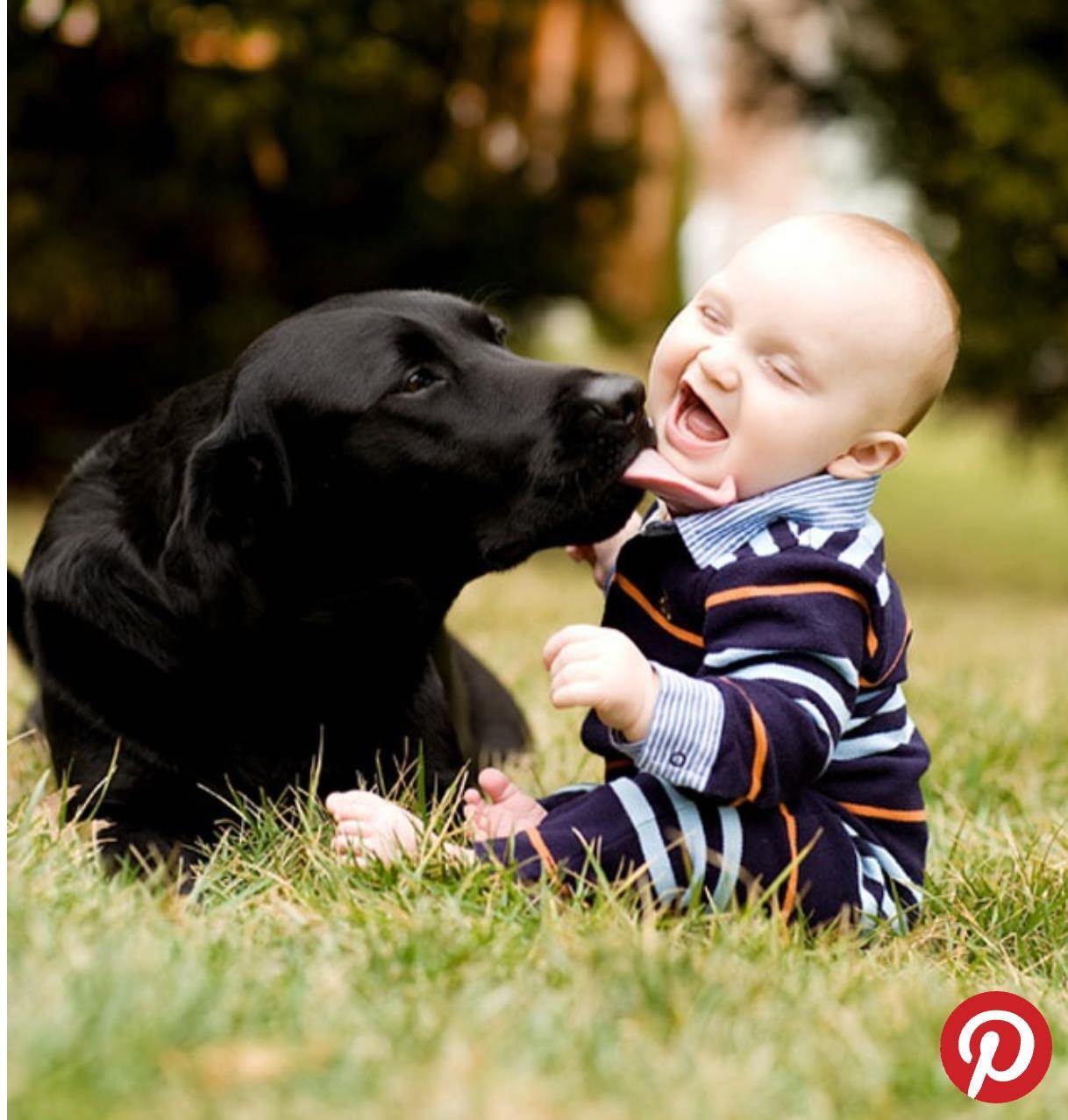 ребенок собаки и человека фото