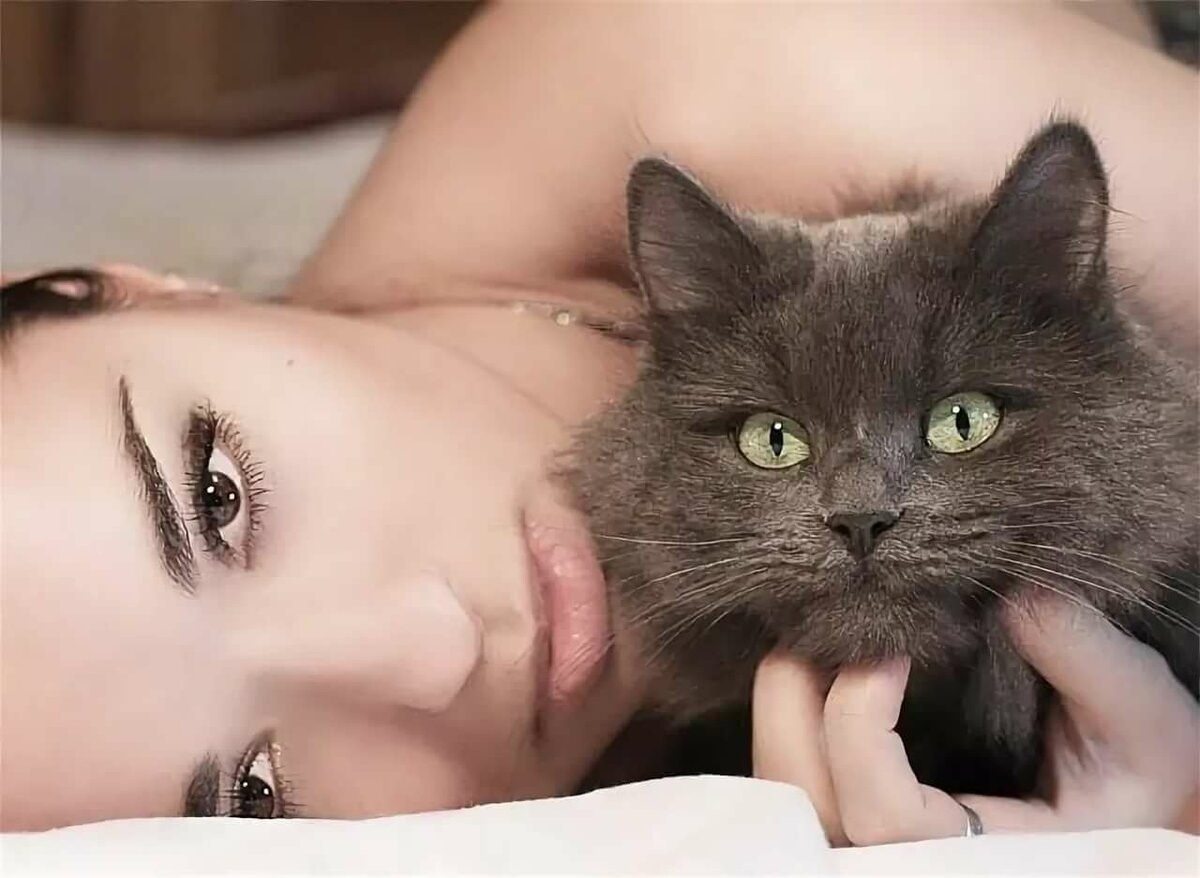 фото красивой кошки женщины