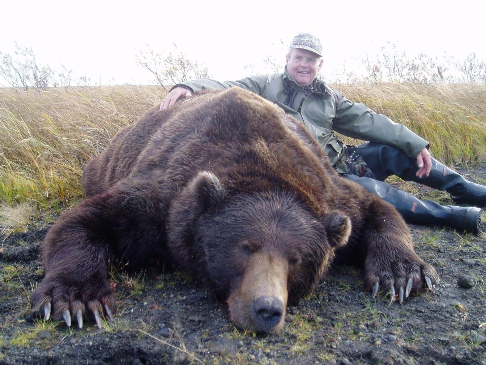 Есть ли медведь людей. Самый большой медведь Кадьяк 1200 кг. Бурый медведь Кадьяк. Самый большой медведь Гризли вес рост. Самый большой бурый медведь в мире.