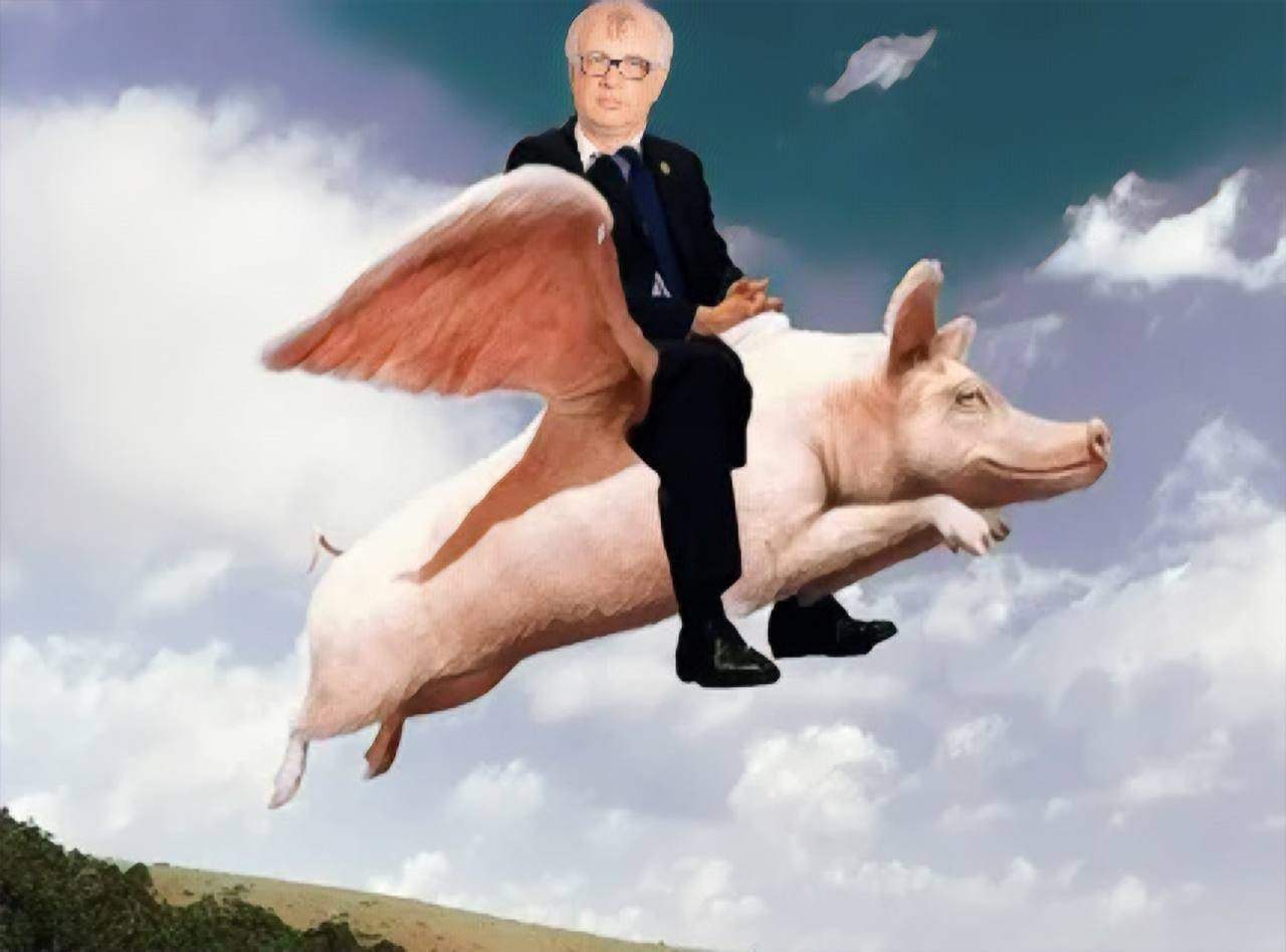 Едет на свинье. Летающая свинья. Свинья с крыльями.