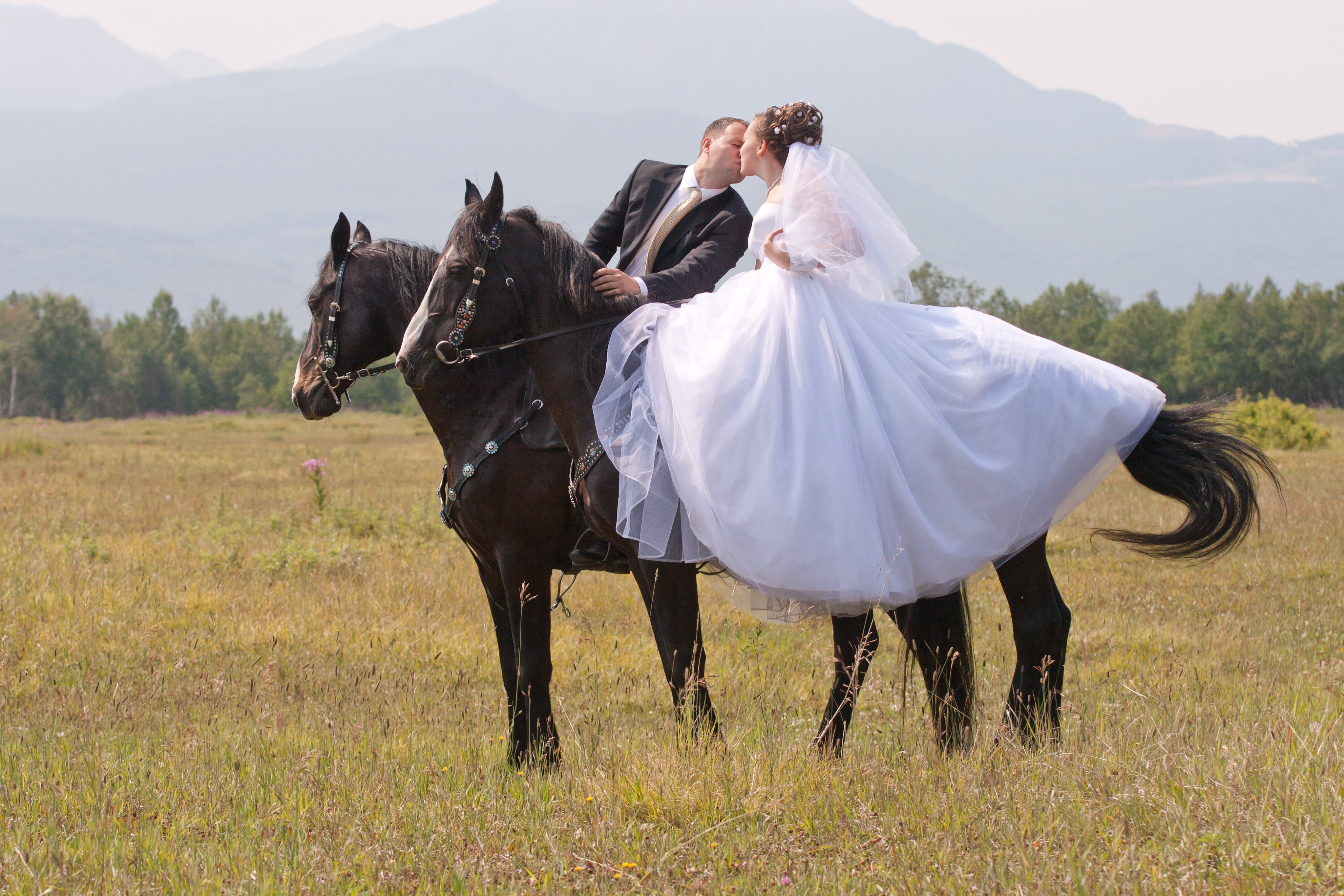 Конь жених. Свадебная фотосессия с лошадьми. Невеста на лошади. Невеста верхом. Свадьба на лошадях верхом.