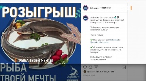 Рыба твоей мечты