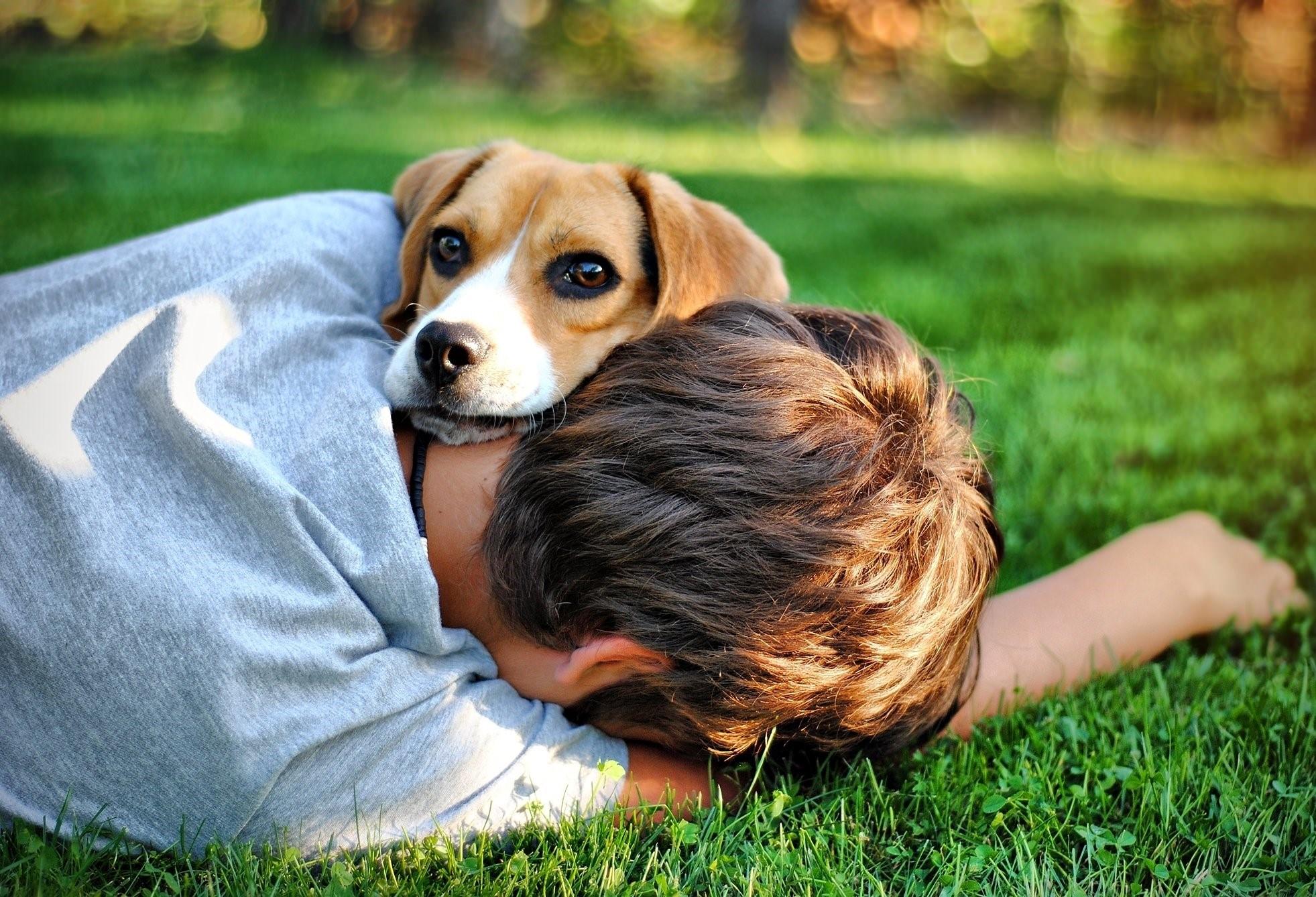 Заботиться щенок. Домашние питомцы и человек. Собака друг человека. Обнимает собаку. Человек с собакой.