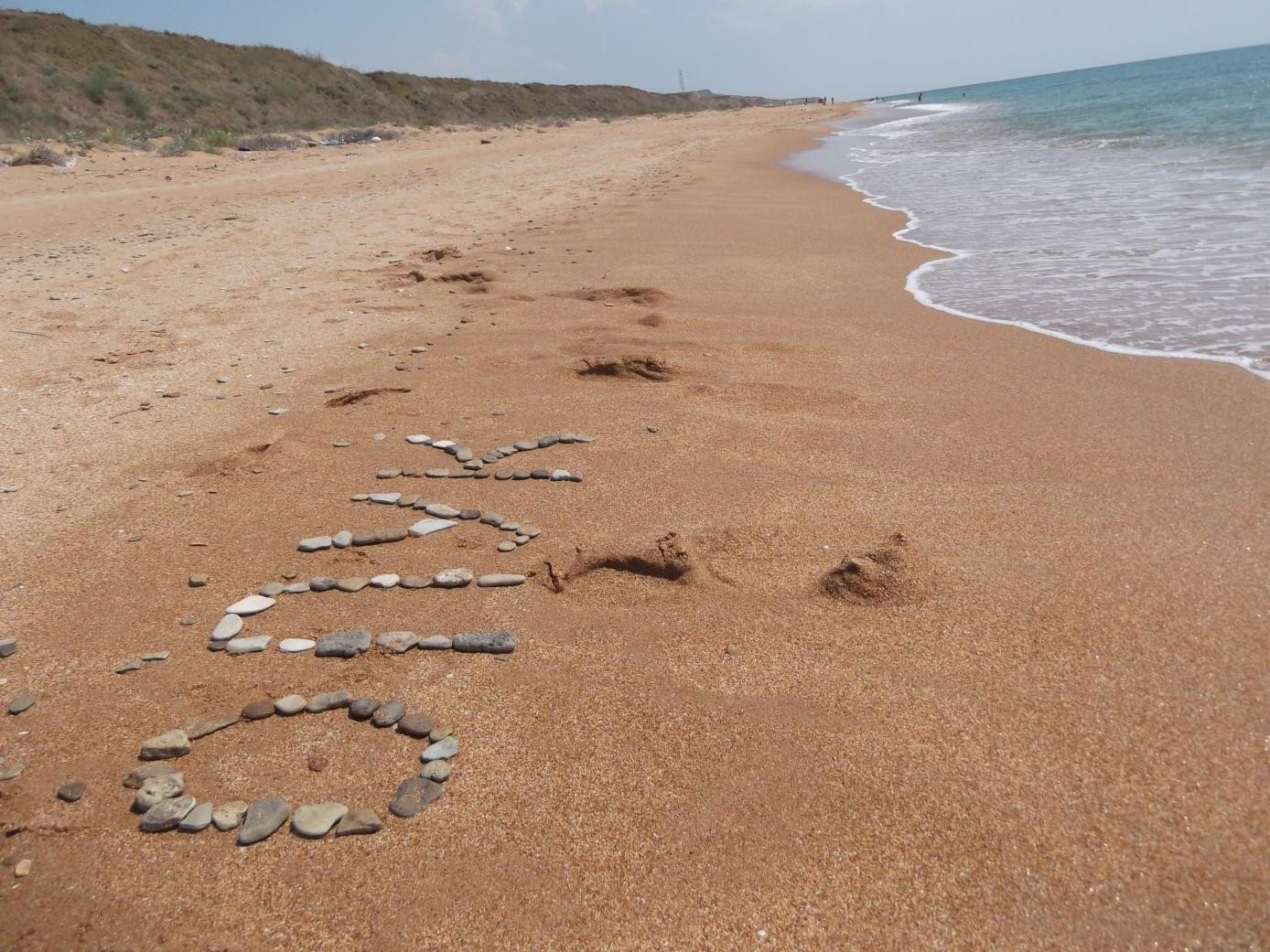 Азовское море змей. Морские гадюки Азовское море. Змеи в Азовском море. Гадюка Азовская морская. Змеи в Голубицкой.