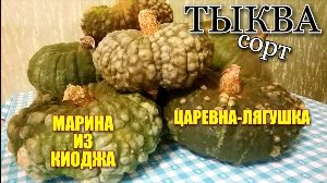 Тыква царевна лягушка