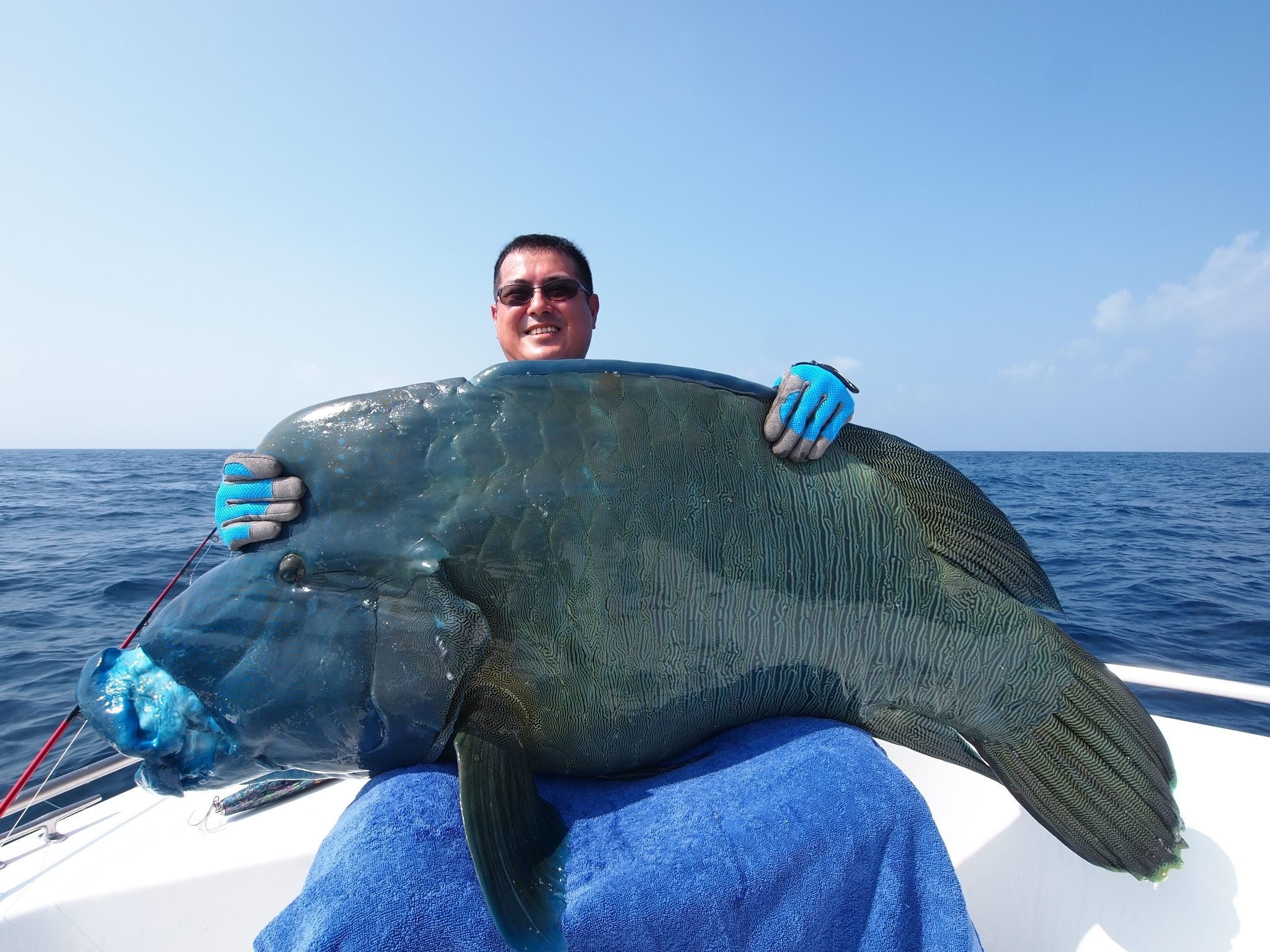 Крупные. Огромная рыба. Гигантские рыбы. Крупная рыба. Большие рыбы на Мальдивах.