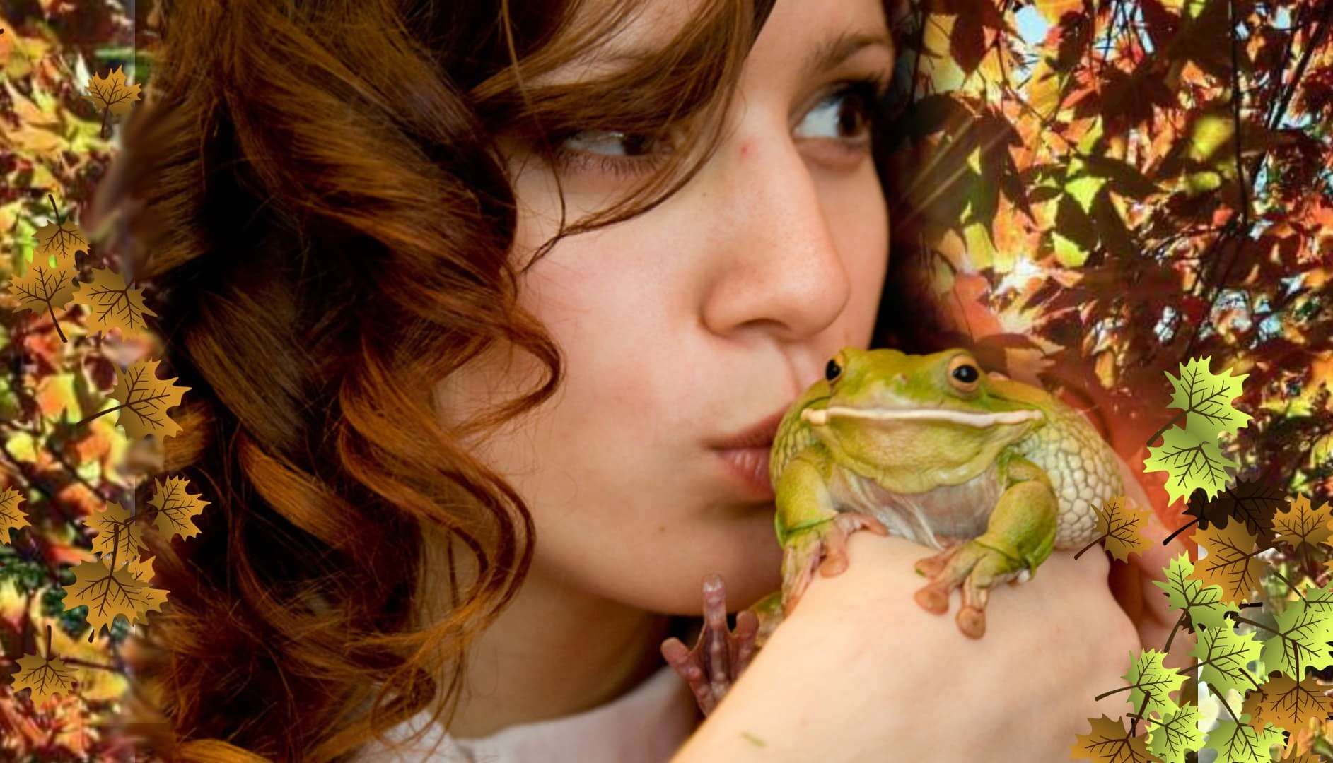 Почему нельзя облизывать. Девушка и лягушка. Девушка жаба. Поцелуй лягушки. Девочка лягушка.